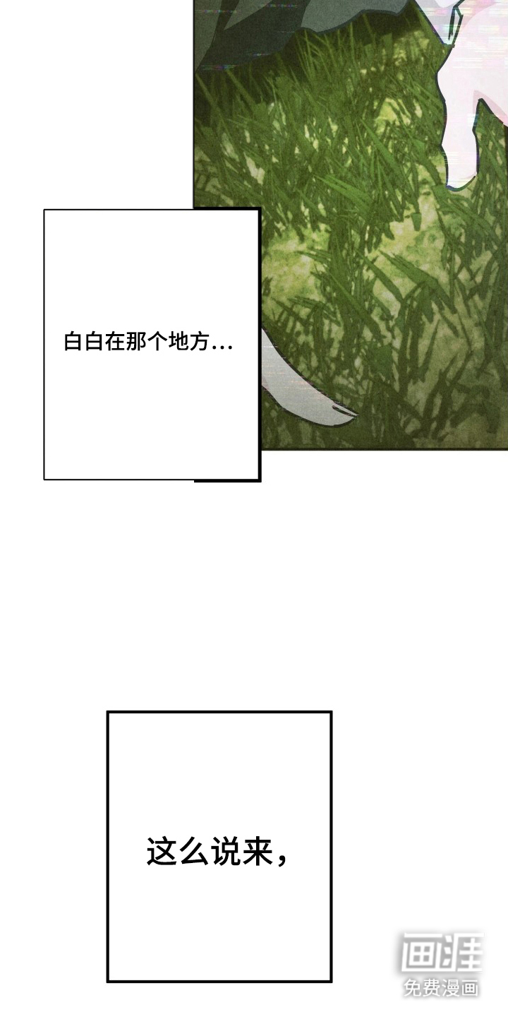 第10话9