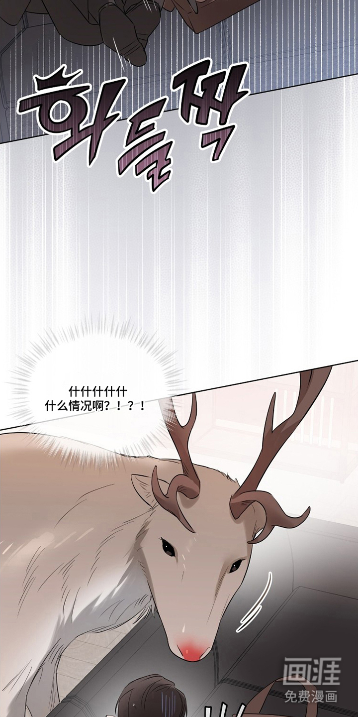 第8话8