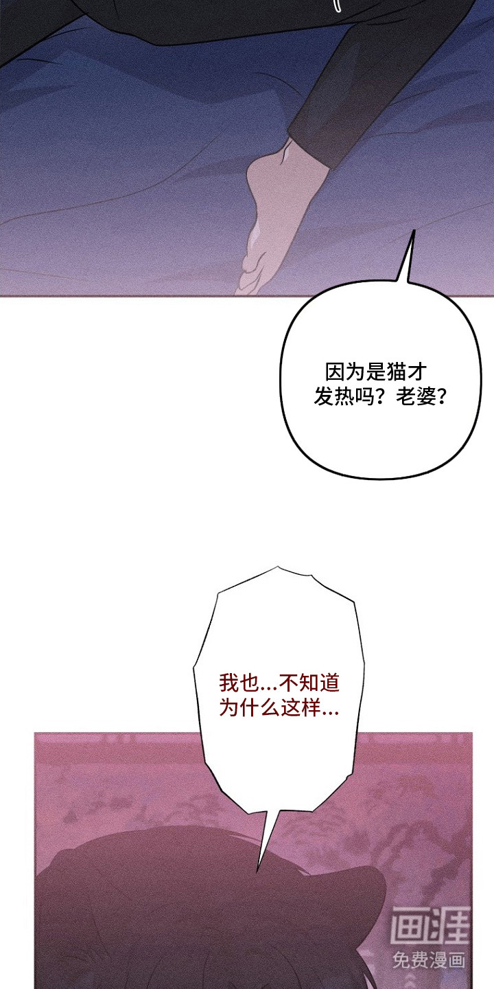 第14话21