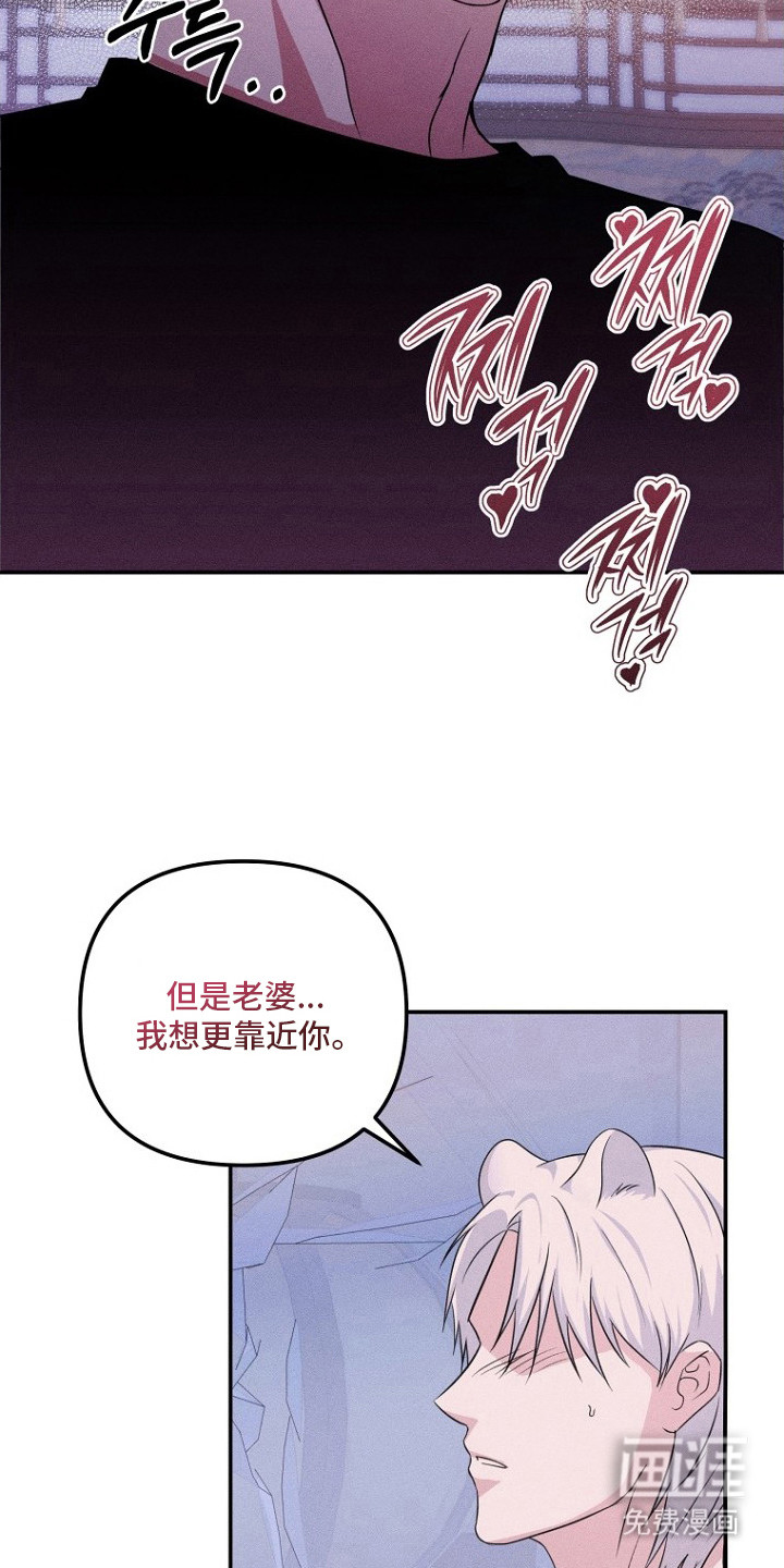 第13话8