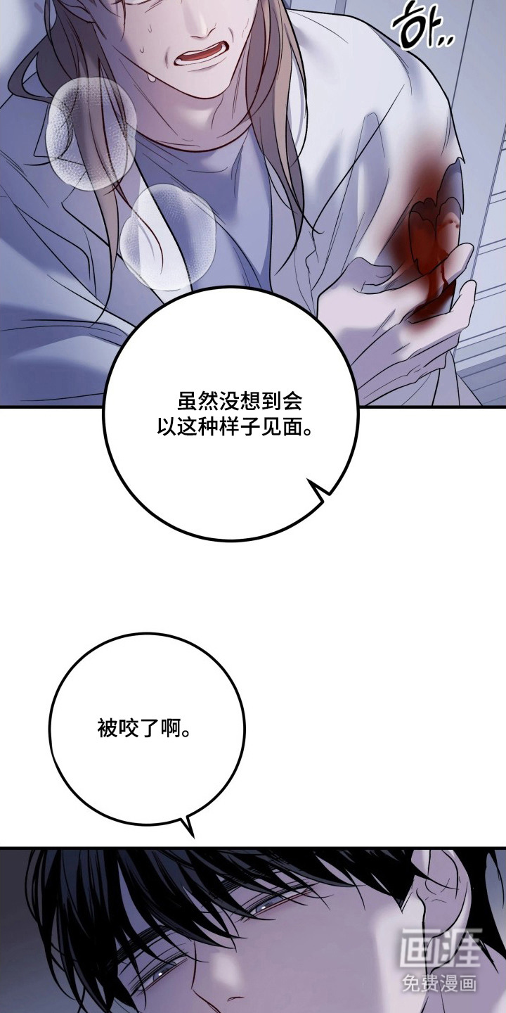 第19话19