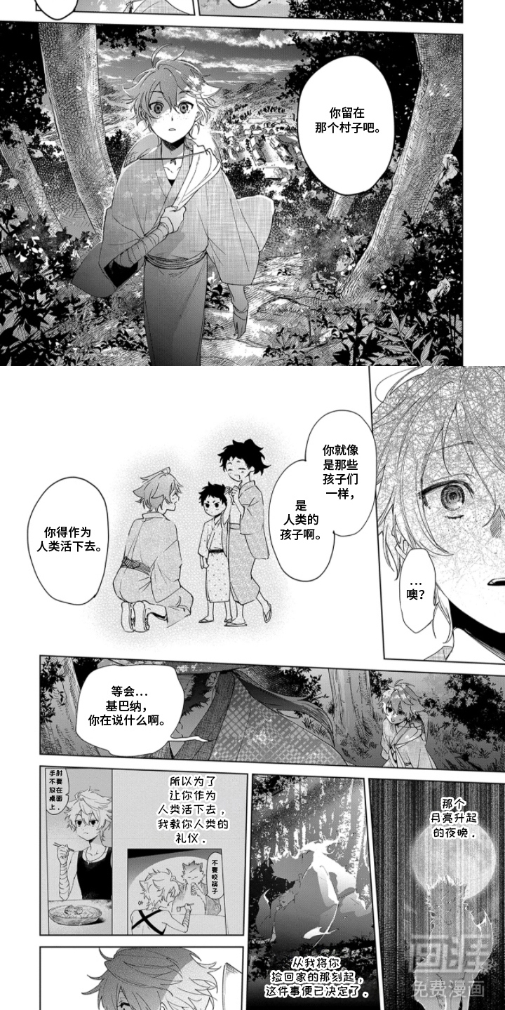 第11话5