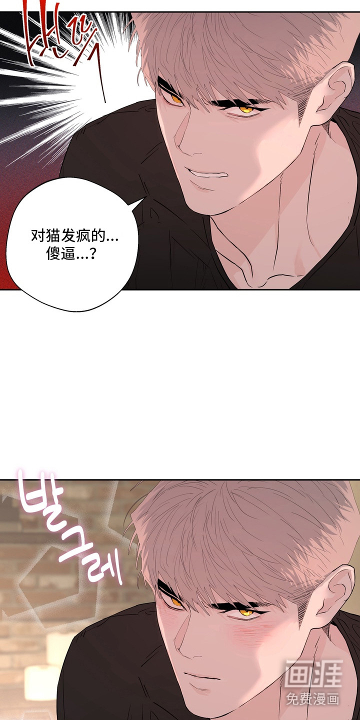 第10话9
