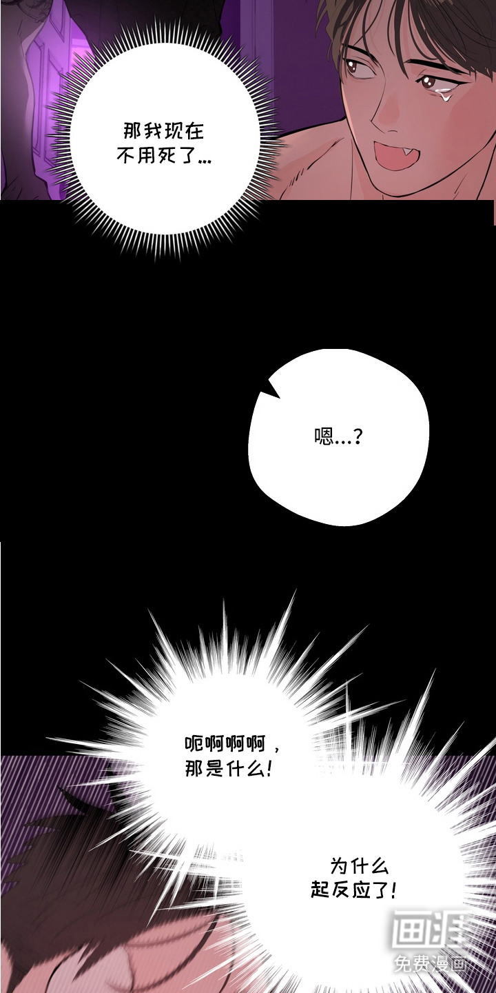 第8话7
