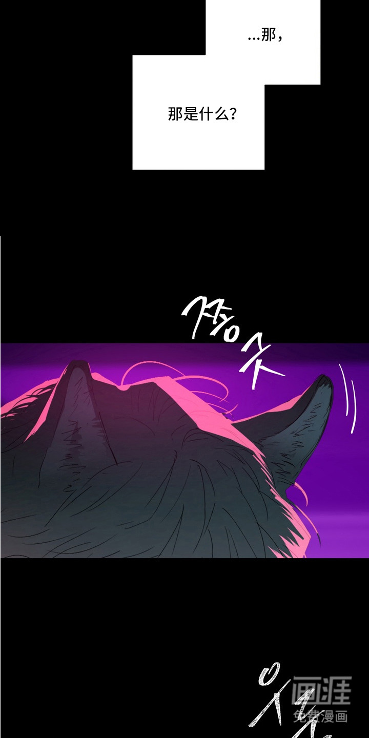 第7话11