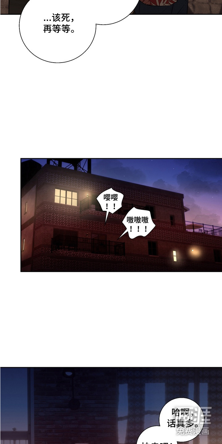 第6话17