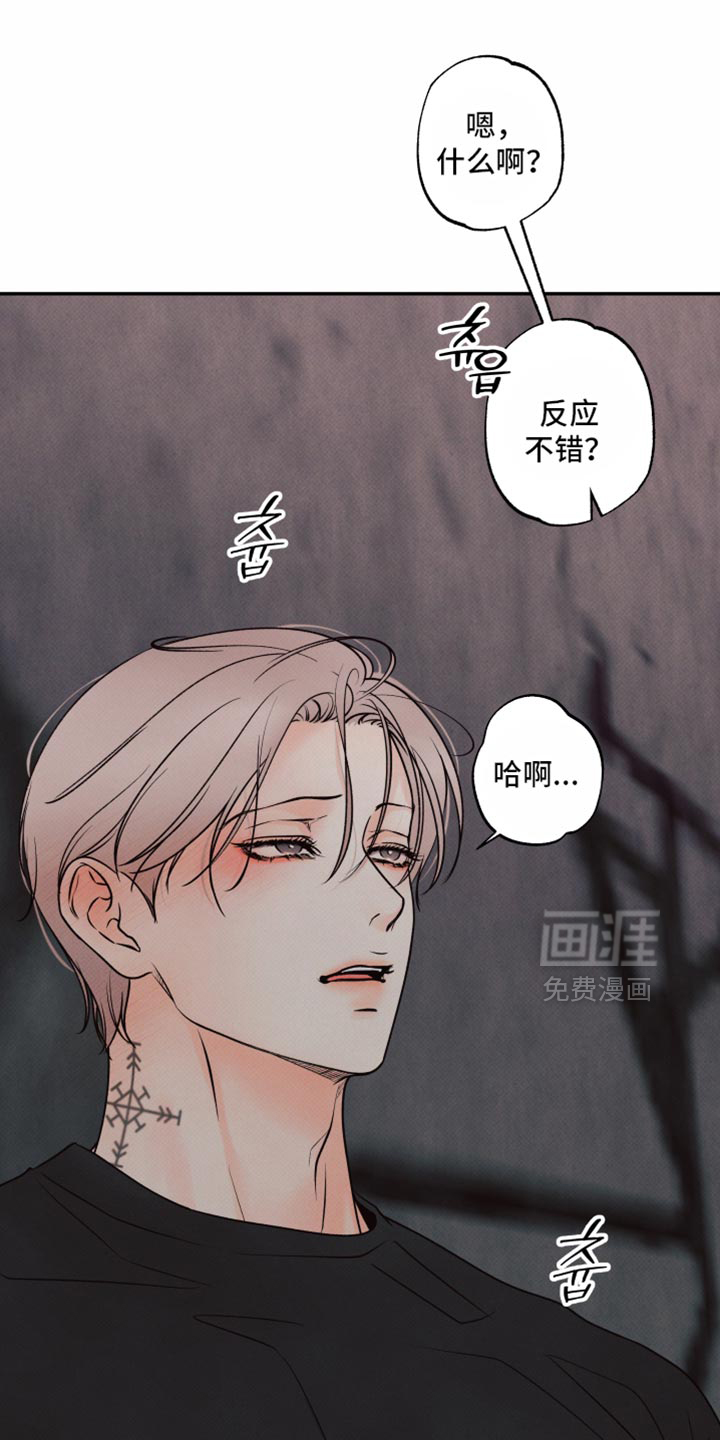 第43话22