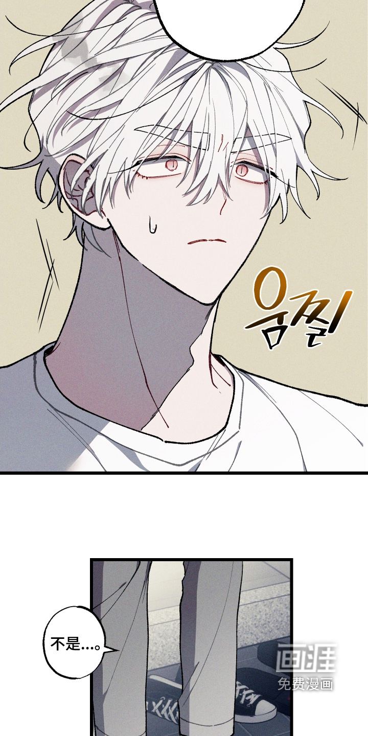 第40话5