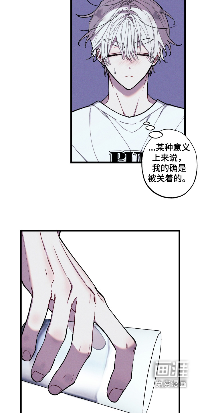 第29话11