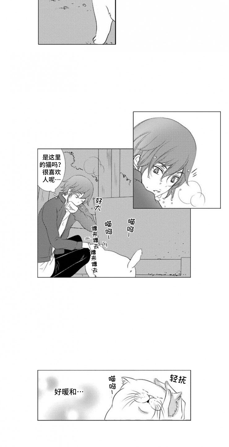 第11话17