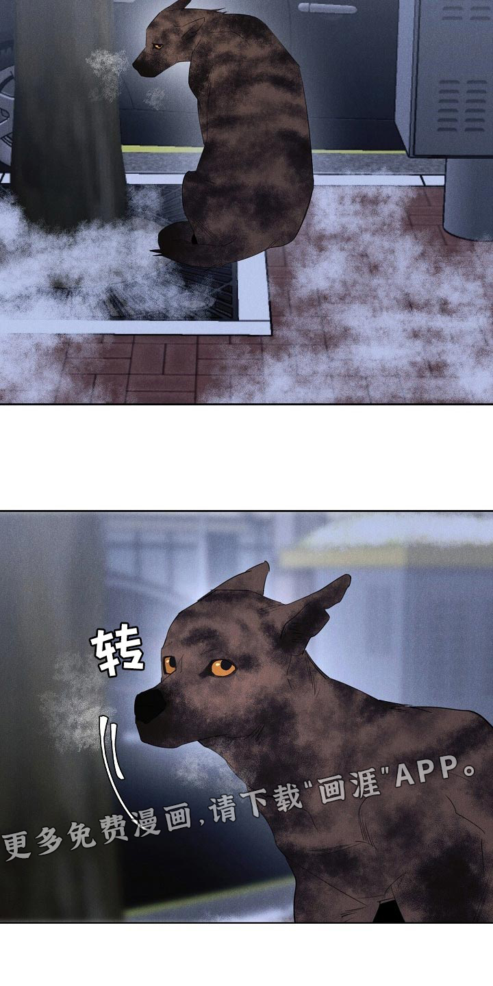 第17话15