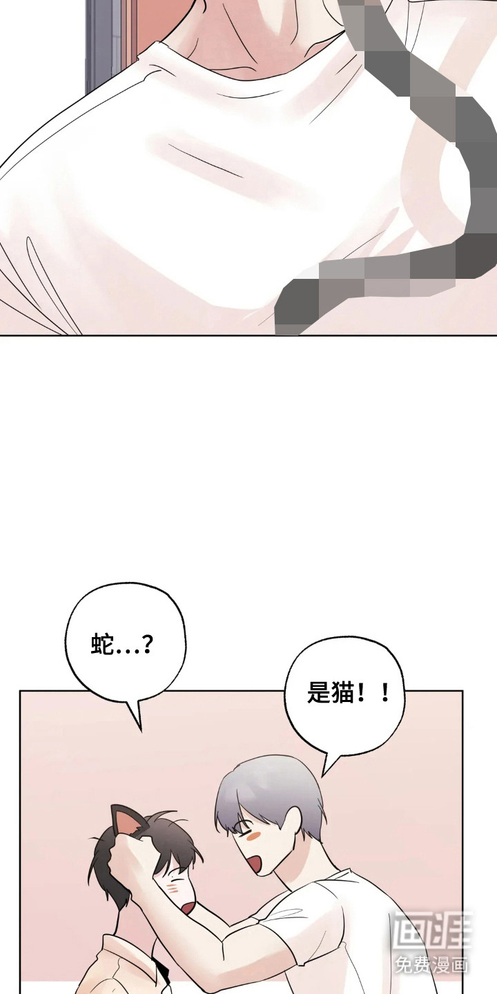 第144话17