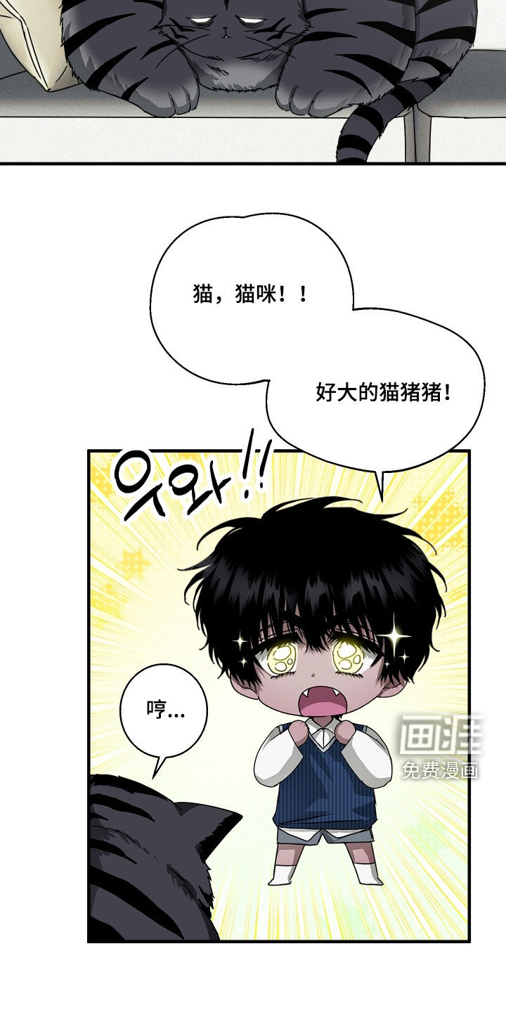 第25话5
