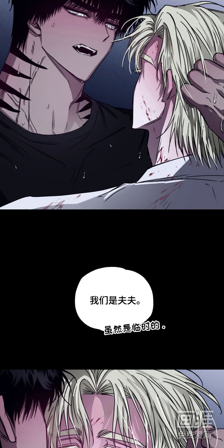 第11话8