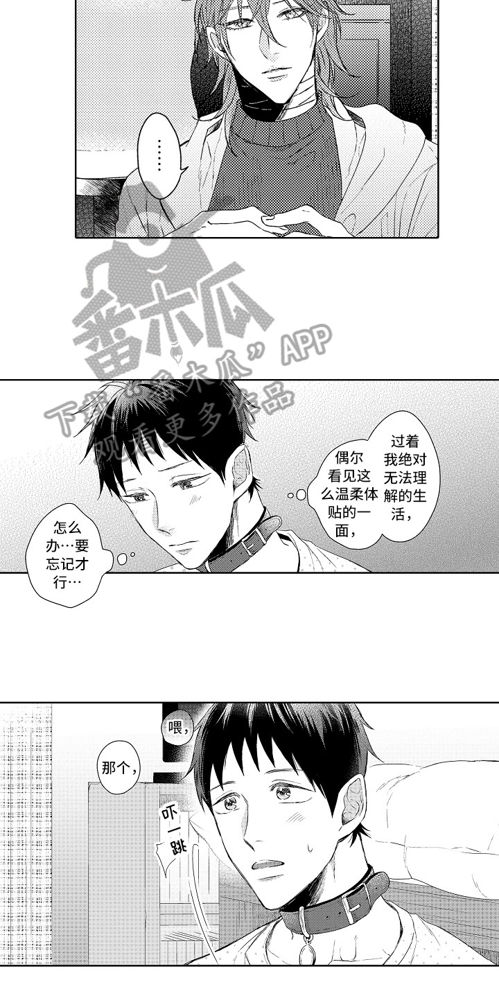 第11话9
