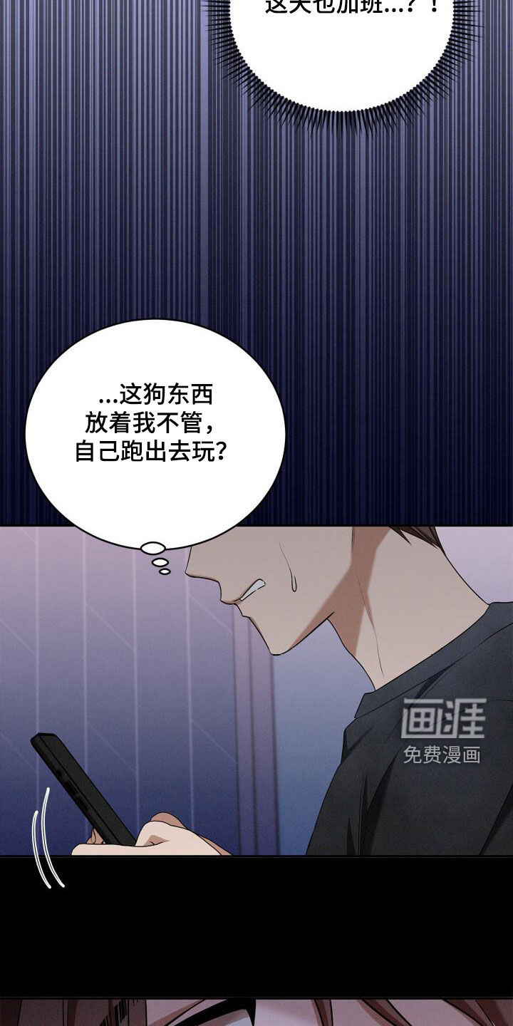 第54话19