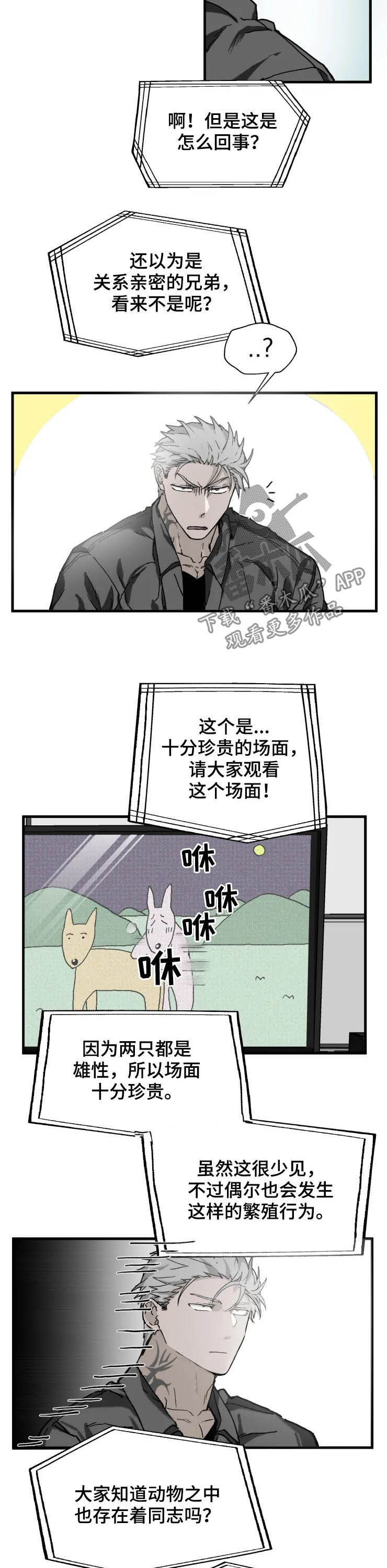 第14话2