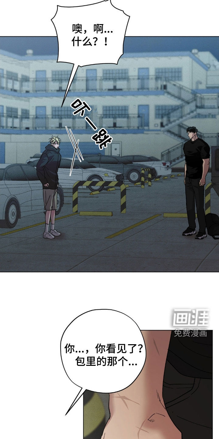 第53话17