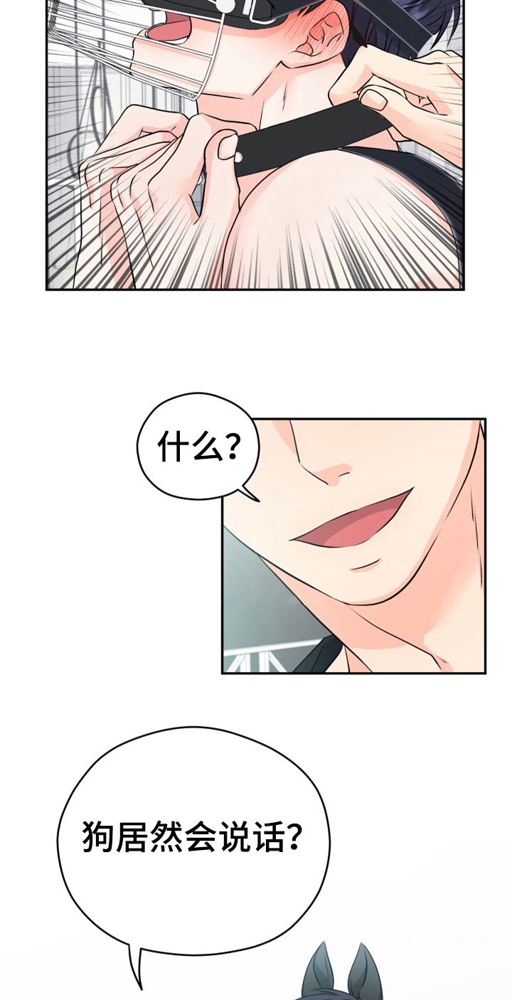 第7话12