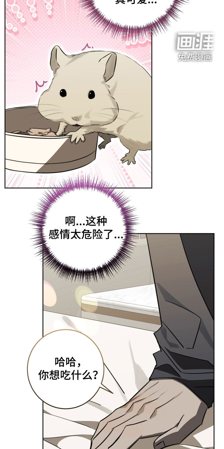 第37话11