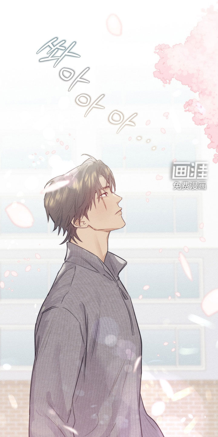 第33话7