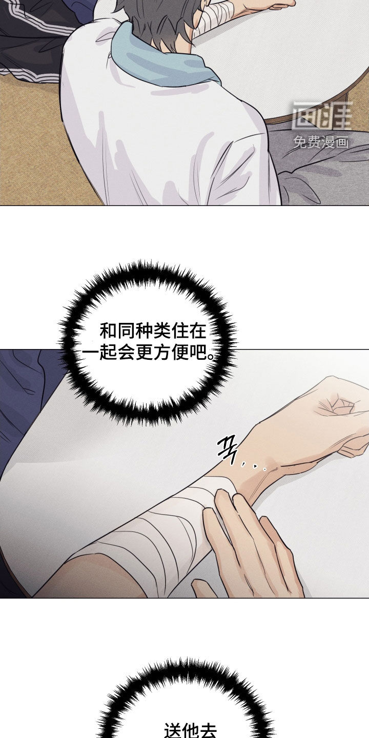 第29话21