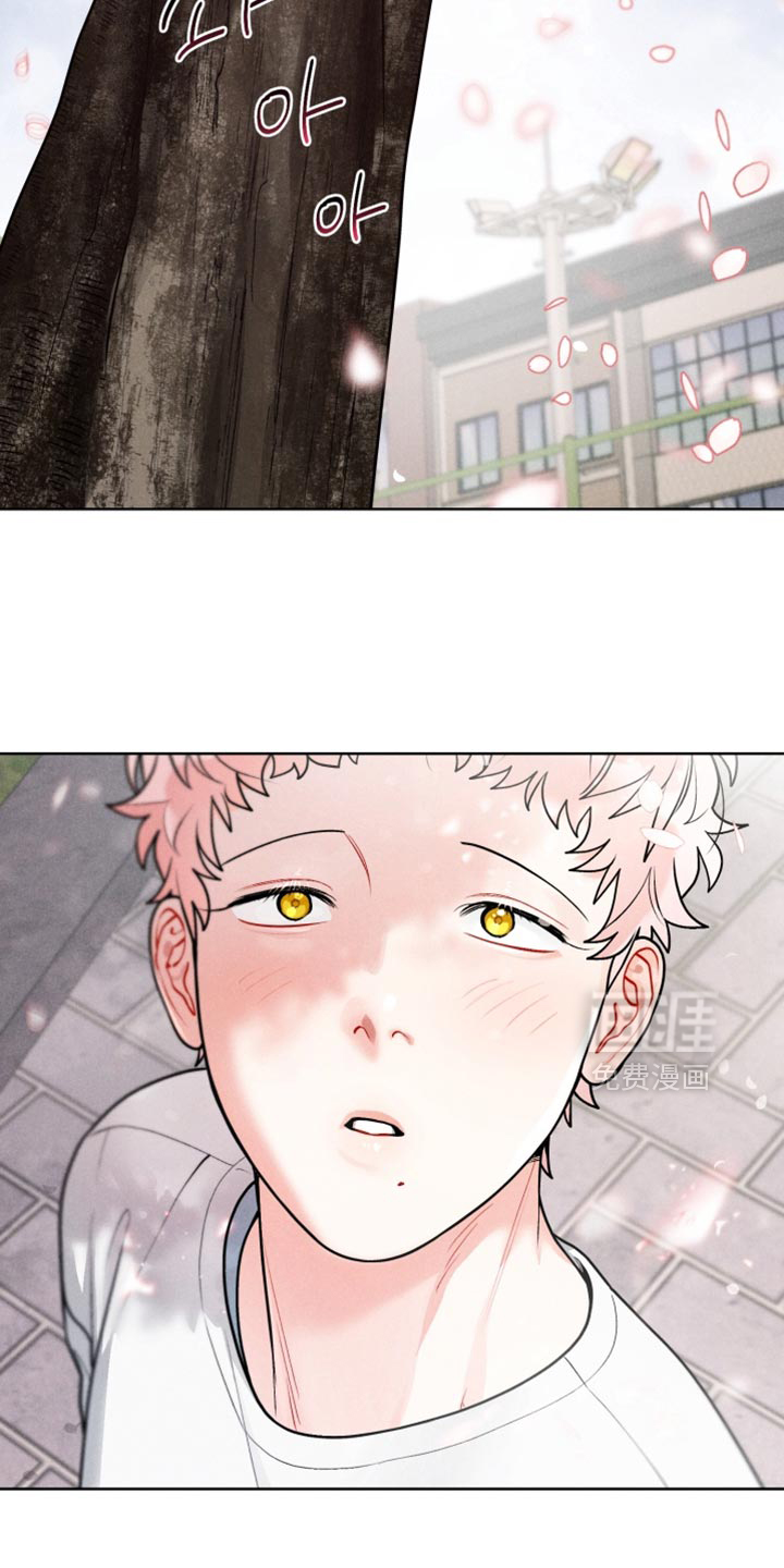 第40话1