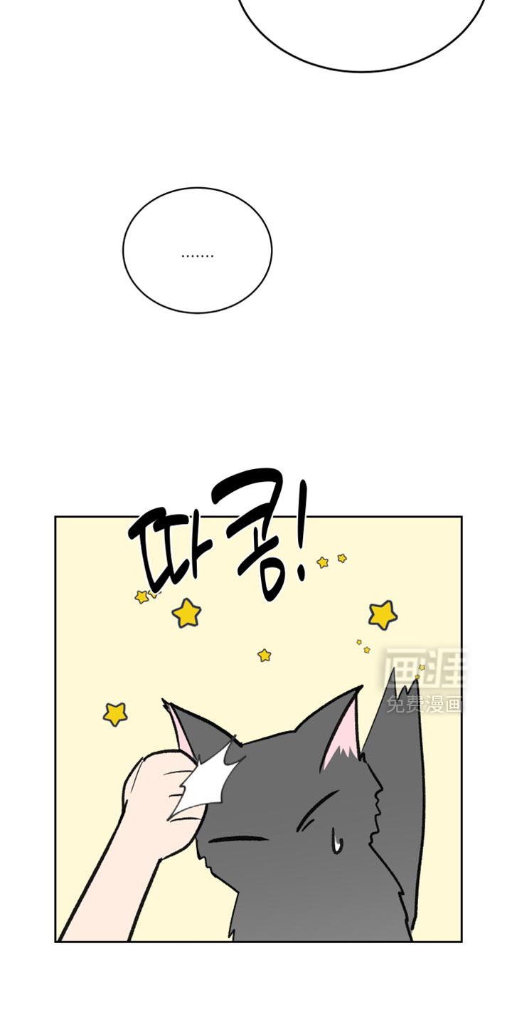 第84话6