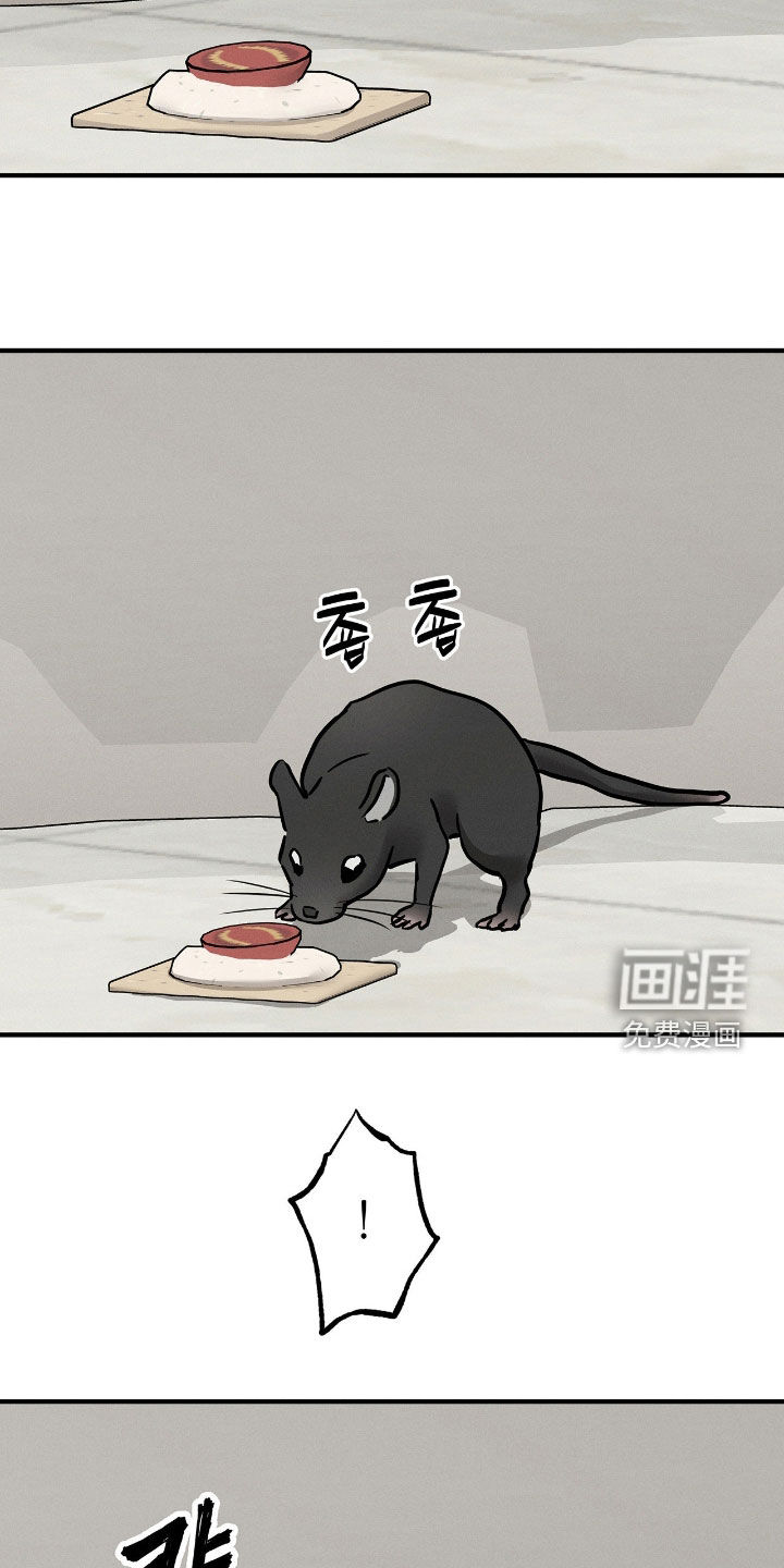 第29话14