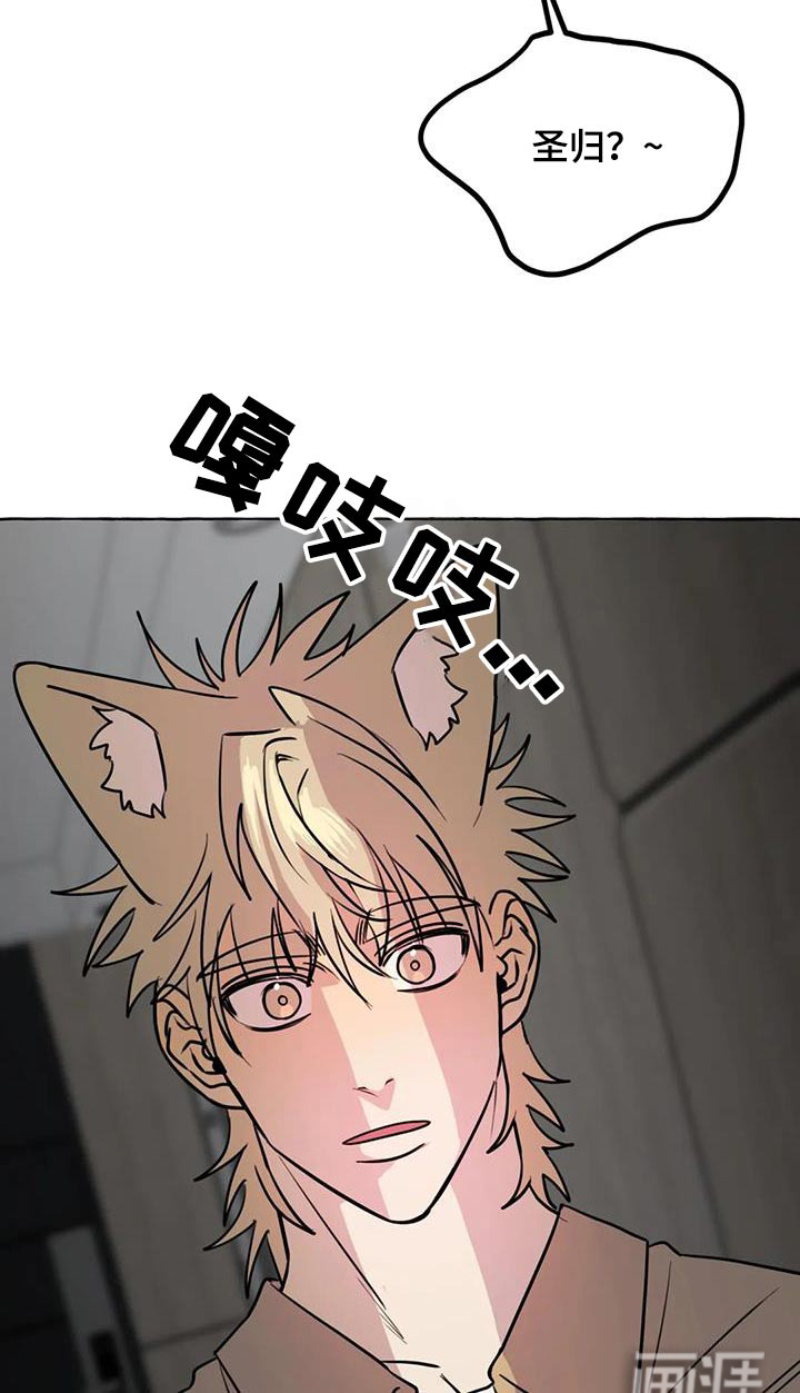 第62话17