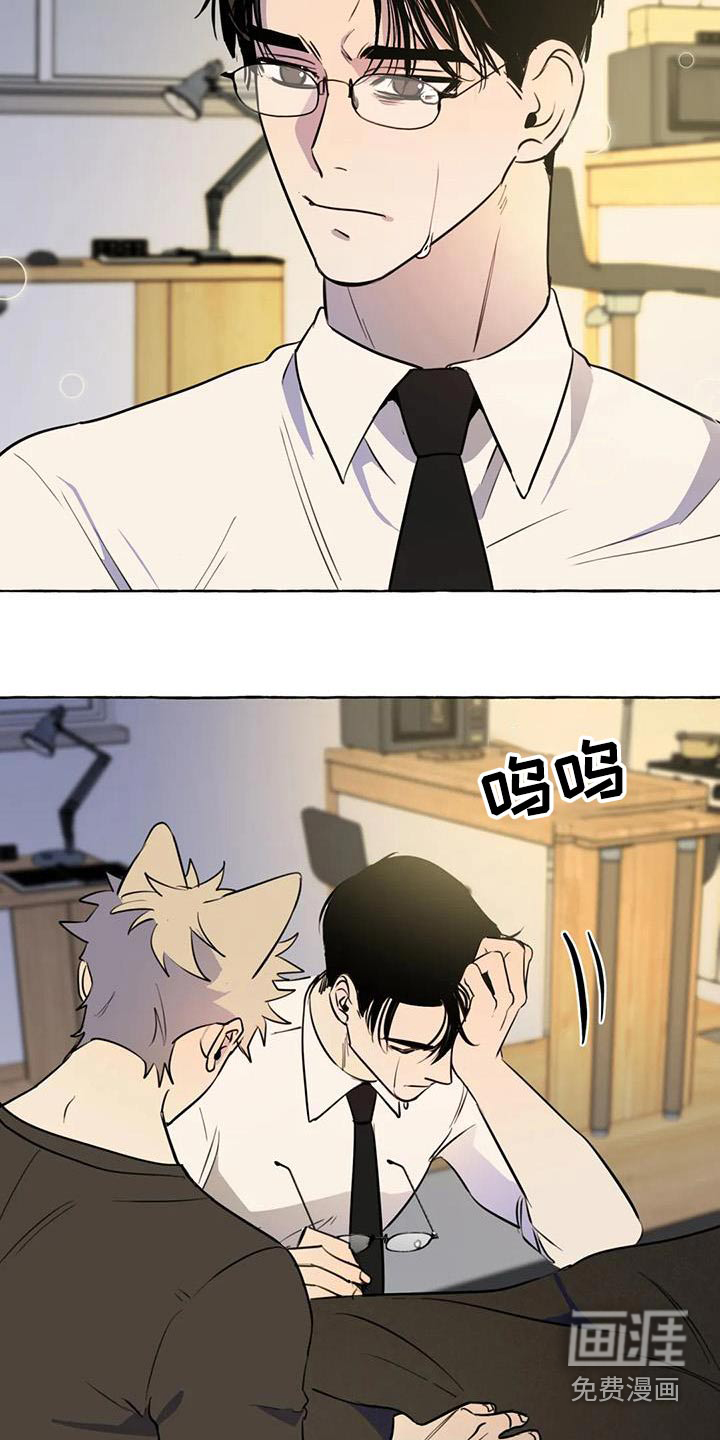 第54话19
