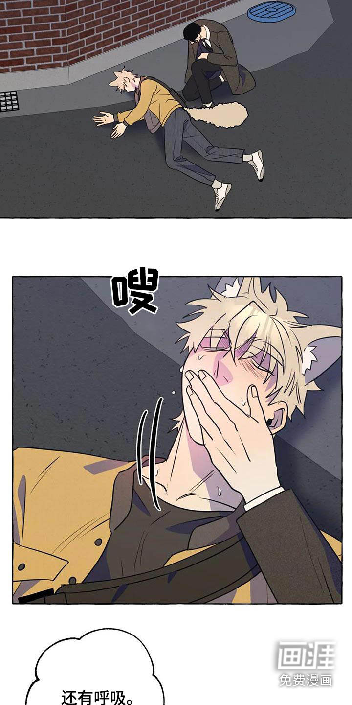 第53话17