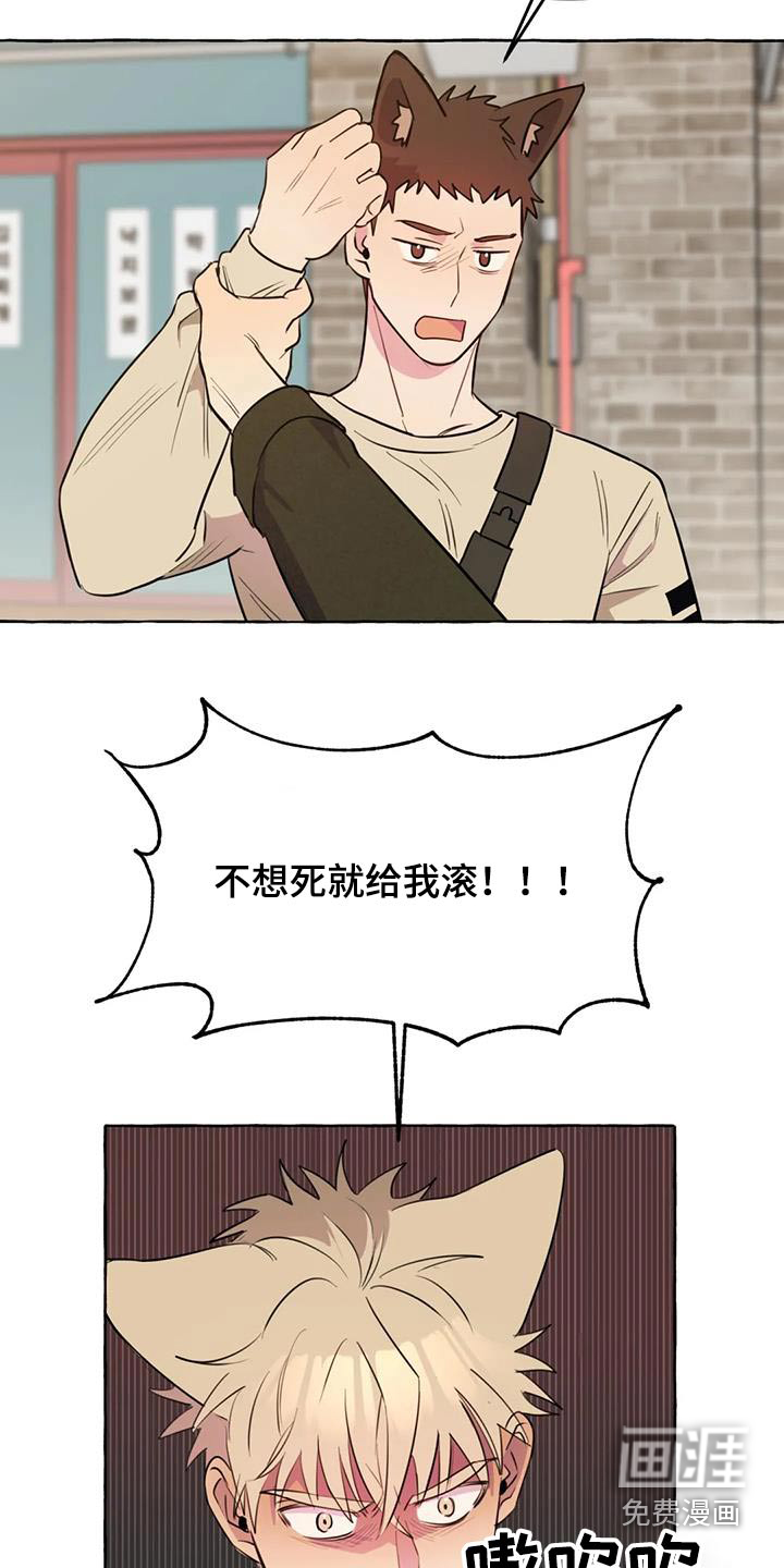 第49话1