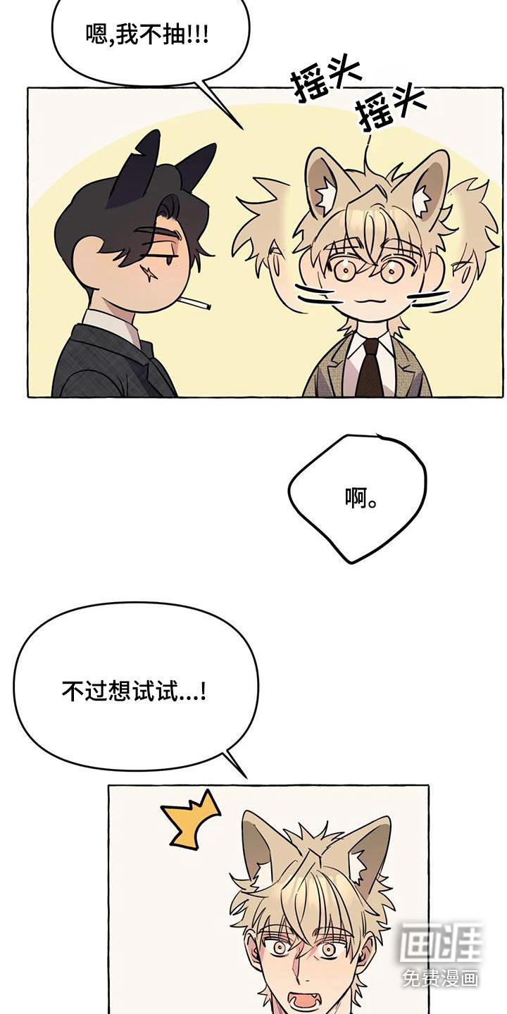 第44话3