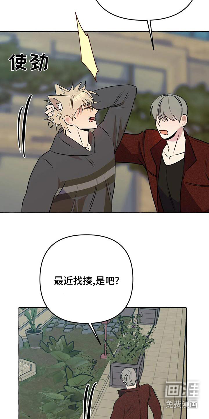 第43话12