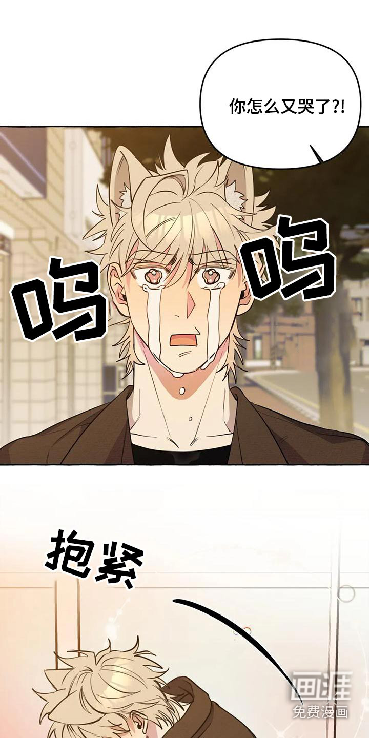 第40话9