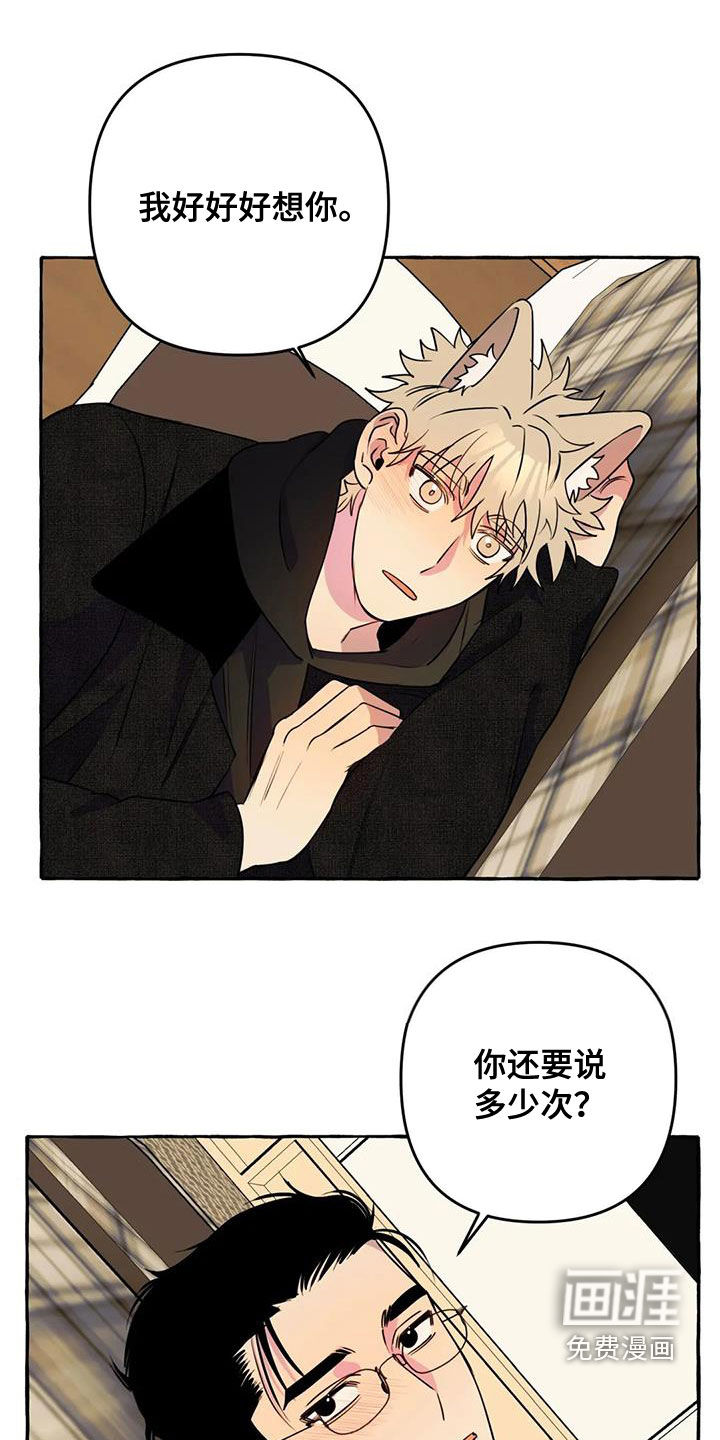 第33话12