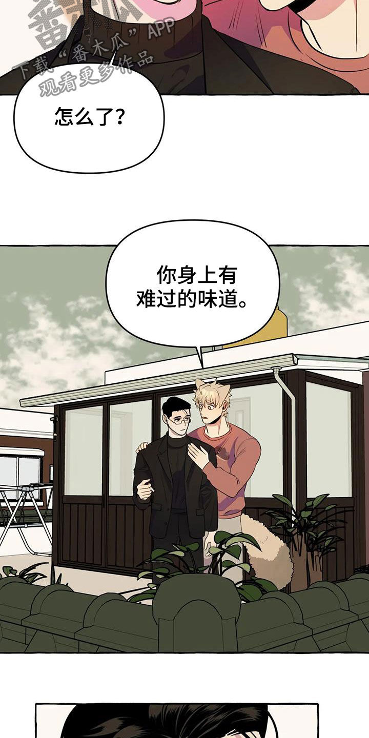 第20话4