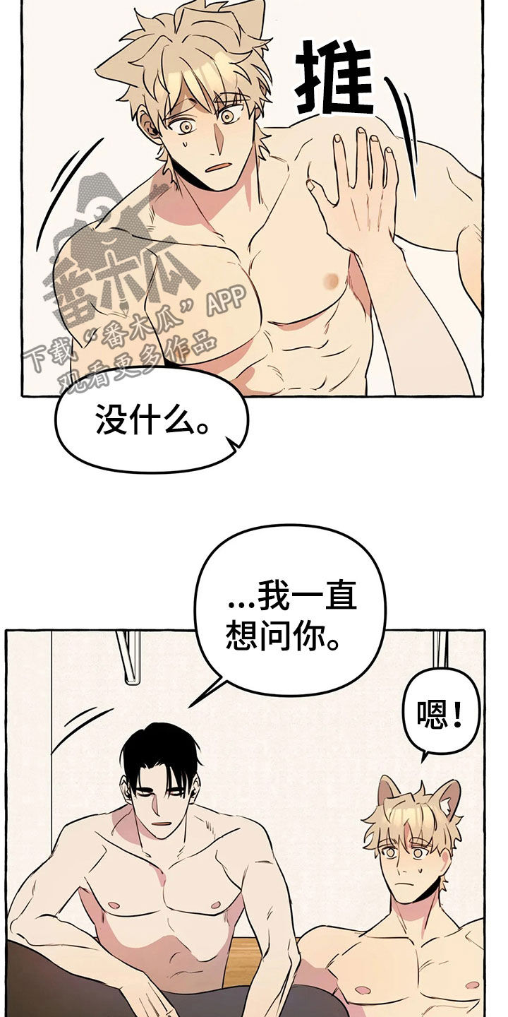 第17话5
