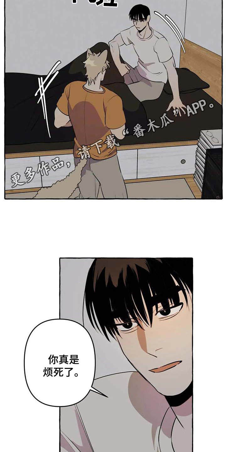 第8话8