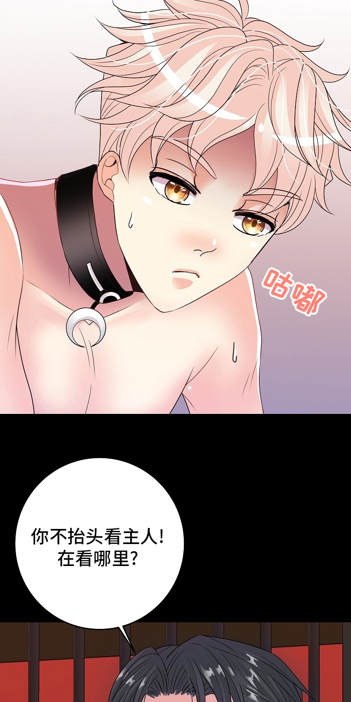 第68话12