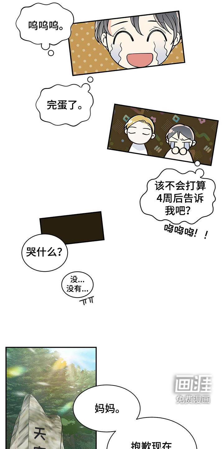 第222话11