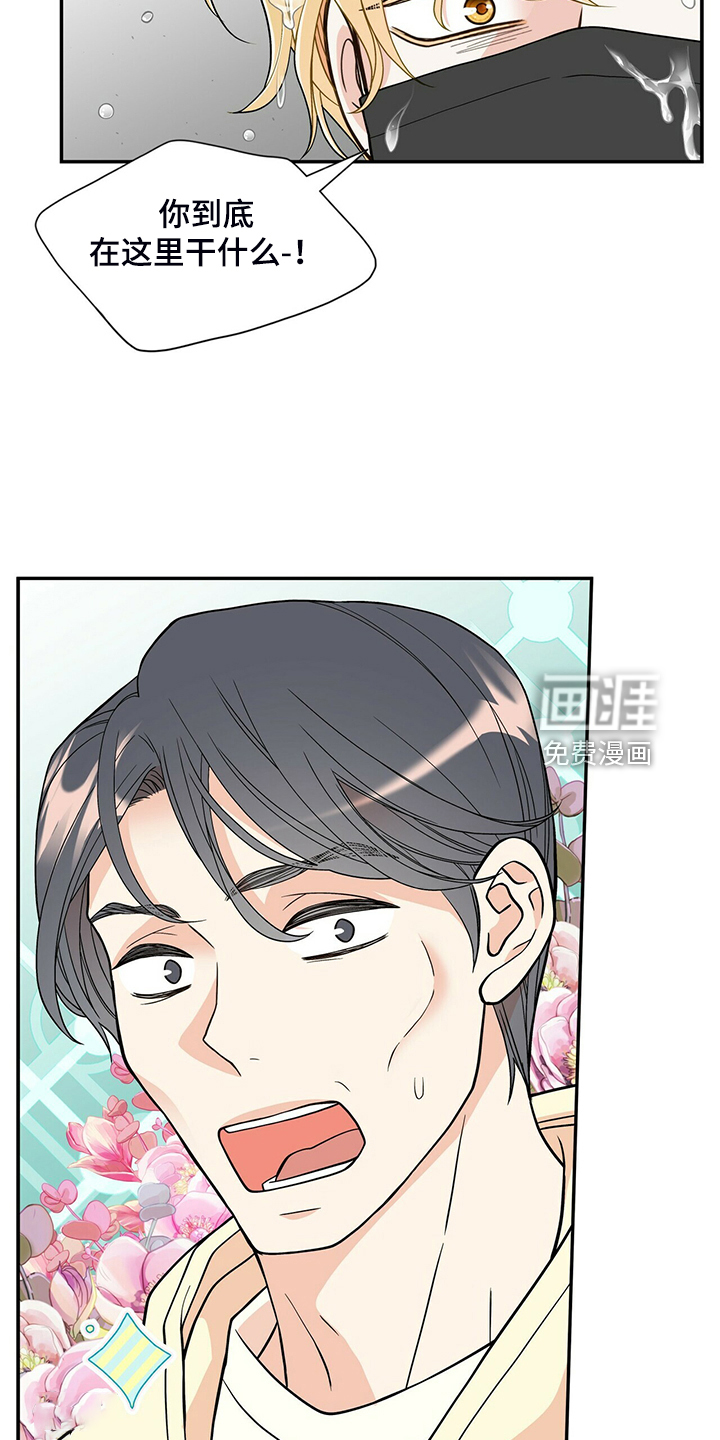 第216话20