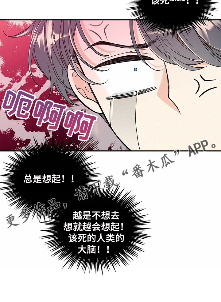 第209话19