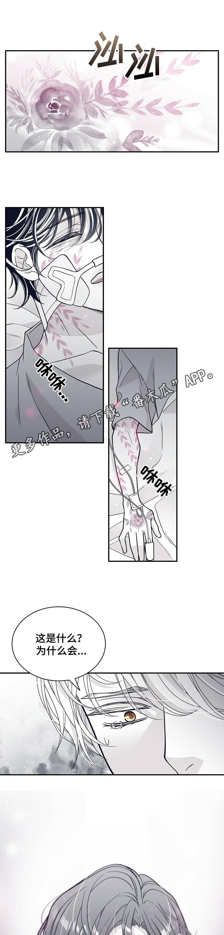 第178话0