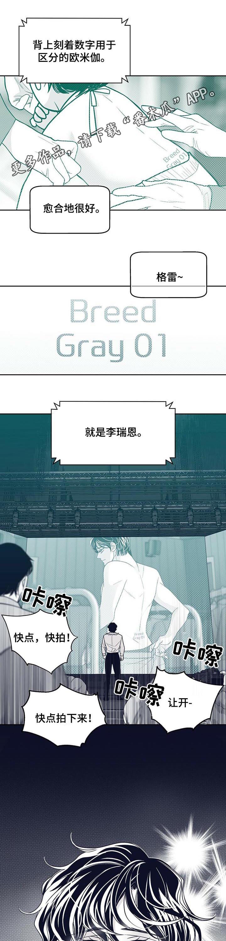 第123话0