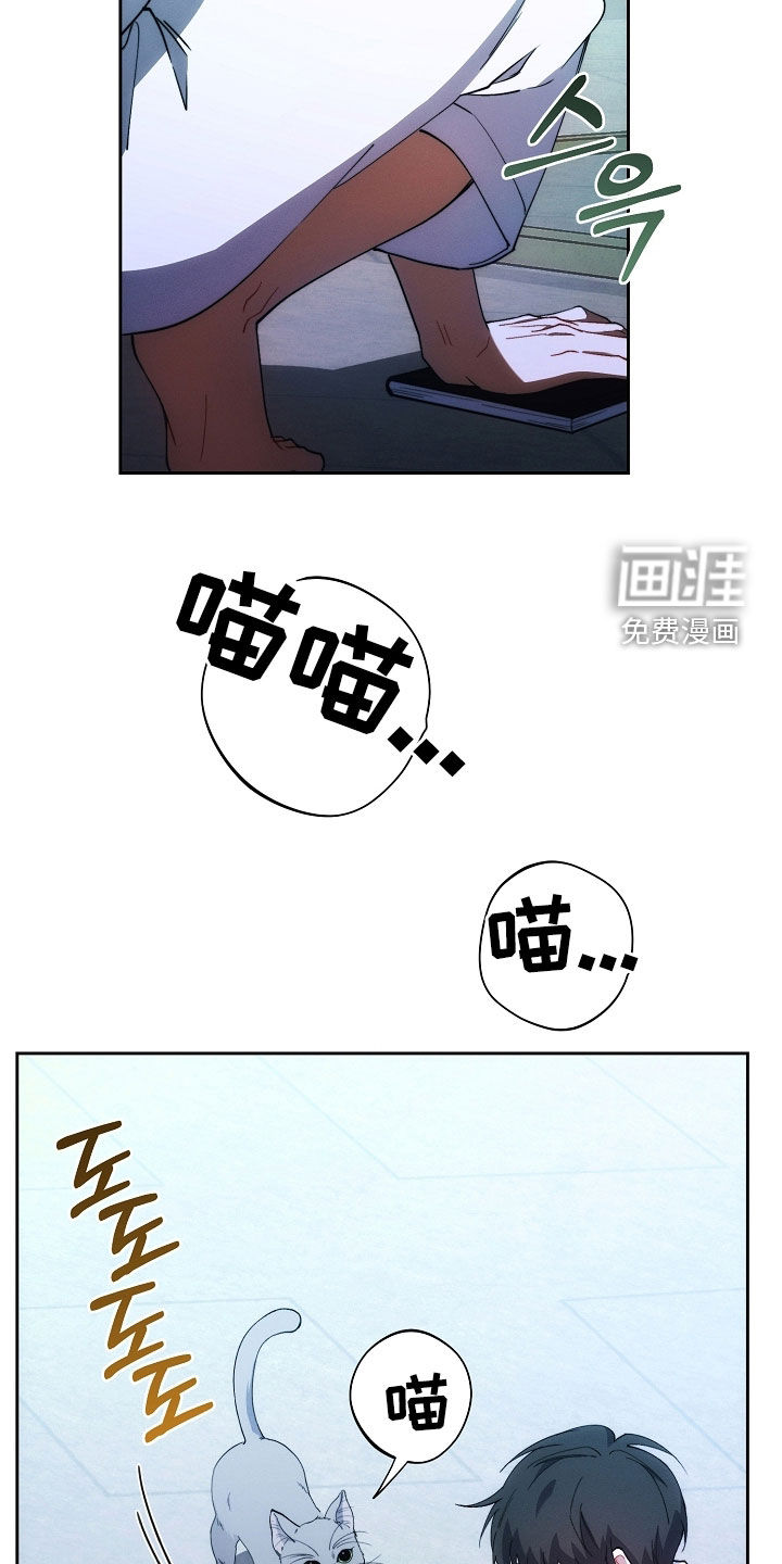 第71话21