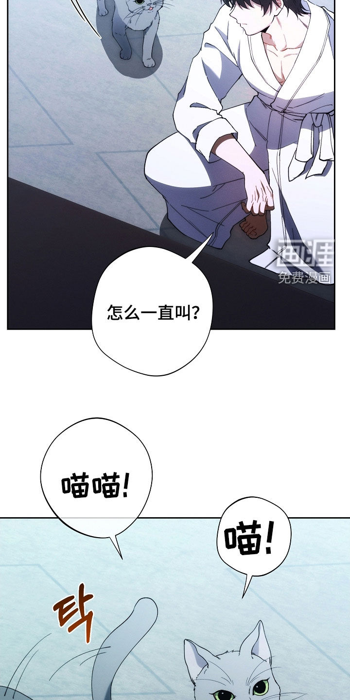 第71话22