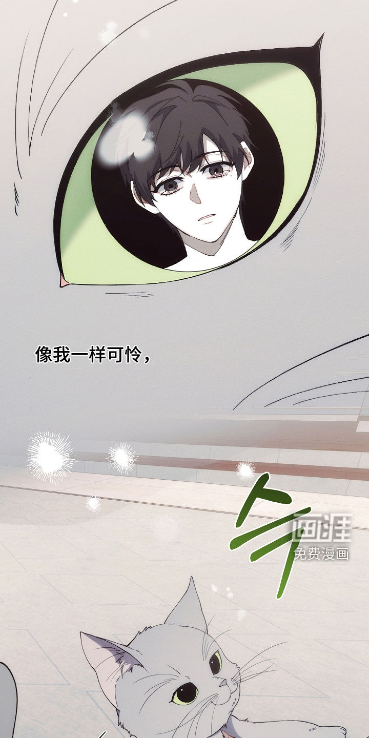 第68话22