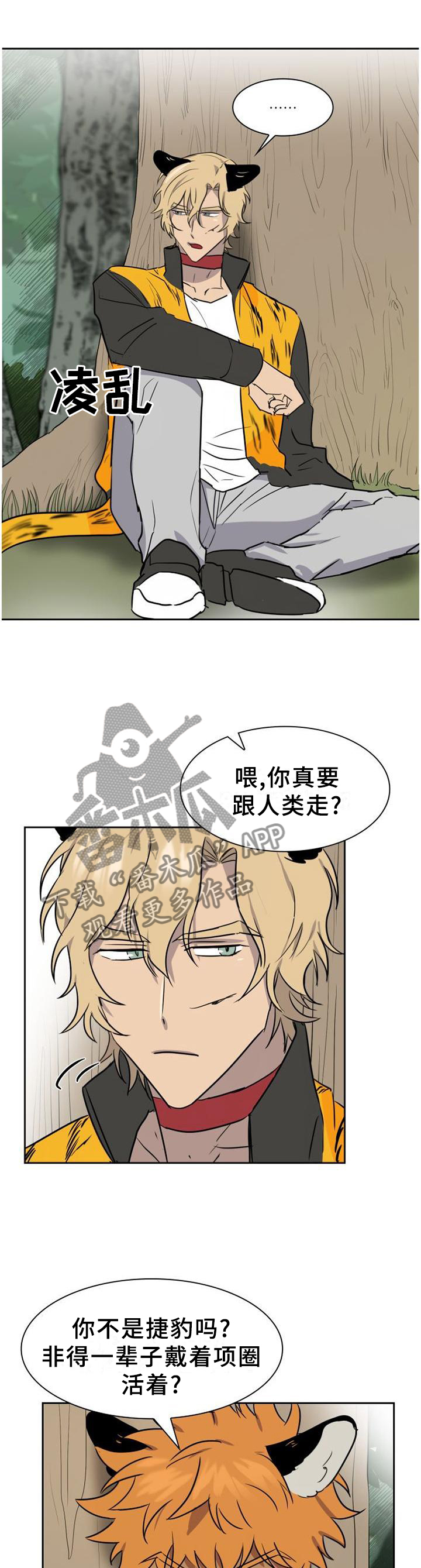 第138话5